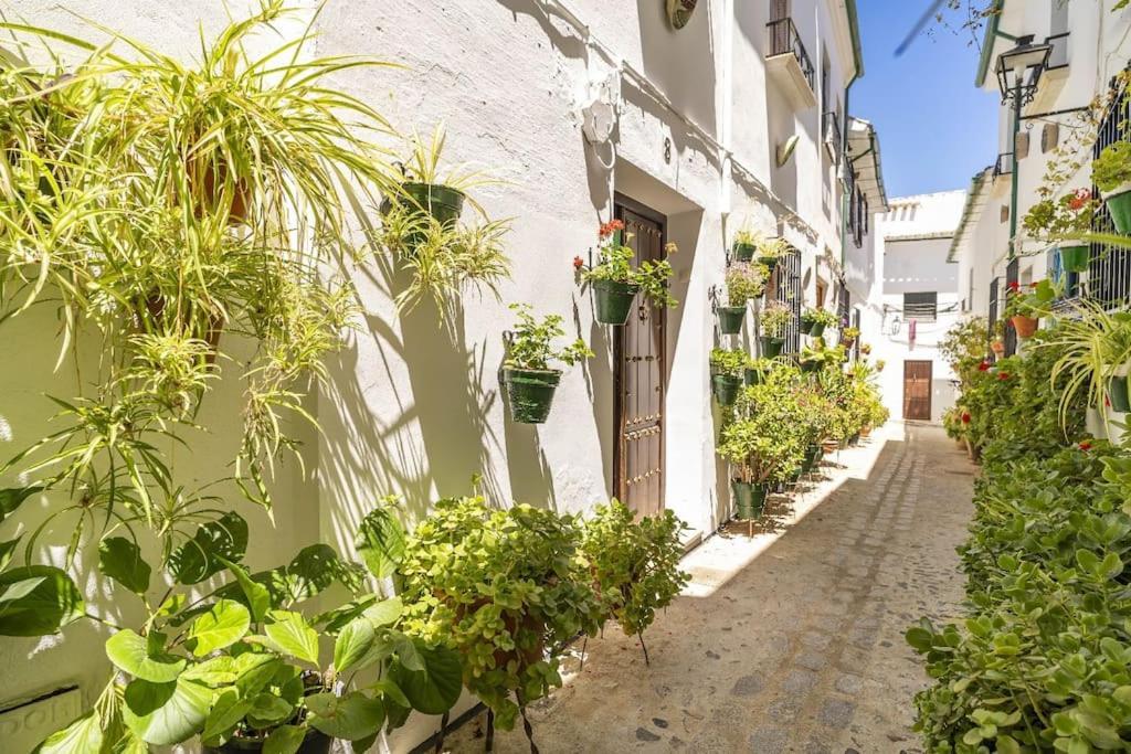 Casa Con Patio Y Terraza En Barrio Historico De La Villa, Junto Al Adarve Приего-де-Кордова Экстерьер фото