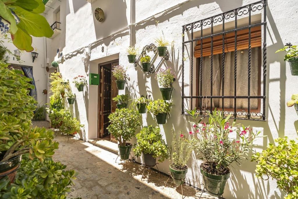 Casa Con Patio Y Terraza En Barrio Historico De La Villa, Junto Al Adarve Приего-де-Кордова Экстерьер фото